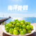 山东青甜小番茄自然熟蜜甜爽口多汁顺丰包邮
