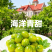 山东青甜小番茄自然熟蜜甜爽口多汁顺丰包邮