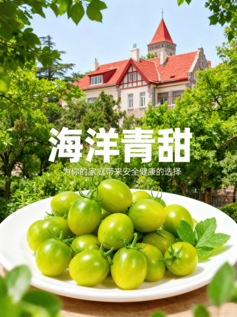 山东青甜小番茄自然熟蜜甜爽口多汁顺丰包邮