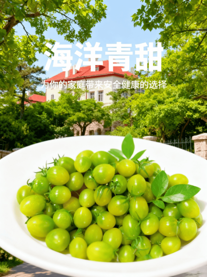 山东青甜小番茄自然熟蜜甜爽口多汁顺丰包邮