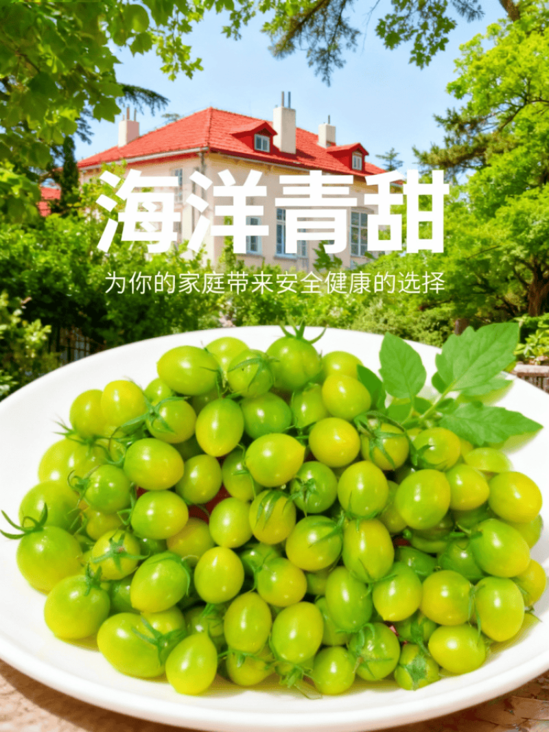 山东青甜小番茄自然熟蜜甜爽口多汁顺丰包邮