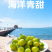 山东青甜小番茄自然熟蜜甜爽口多汁顺丰包邮