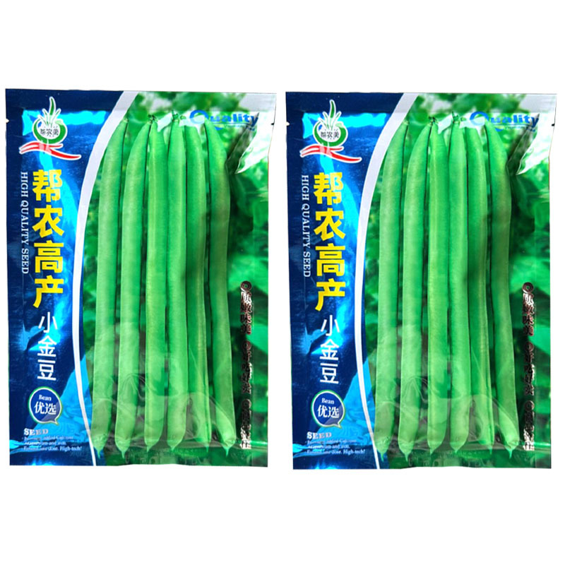 帮农高产小金豆种子早熟扁圆形四季豆种籽豆荚炒食糯性好基地