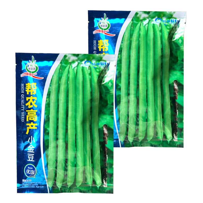帮农高产小金豆种子早熟扁圆形四季豆种籽豆荚炒食糯性好基地