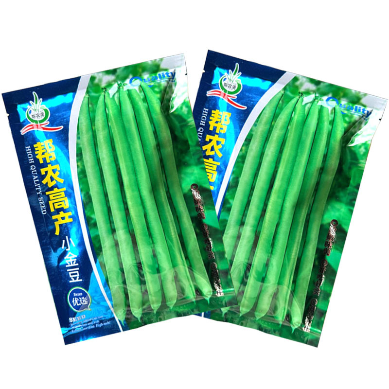 帮农高产小金豆种子早熟扁圆形四季豆种籽豆荚炒食糯性好基地