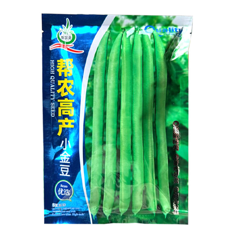 帮农高产小金豆种子早熟扁圆形四季豆种籽豆荚炒食糯性好基地