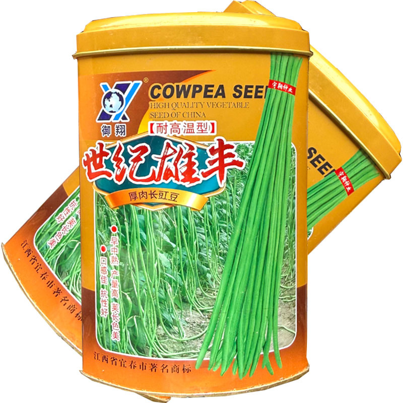 世纪雄丰豇豆种子耐高温早中熟油绿荚豆角种子耐老化大田基地