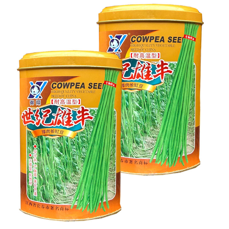 世纪雄丰豇豆种子耐高温早中熟油绿荚豆角种子耐老化大田基地