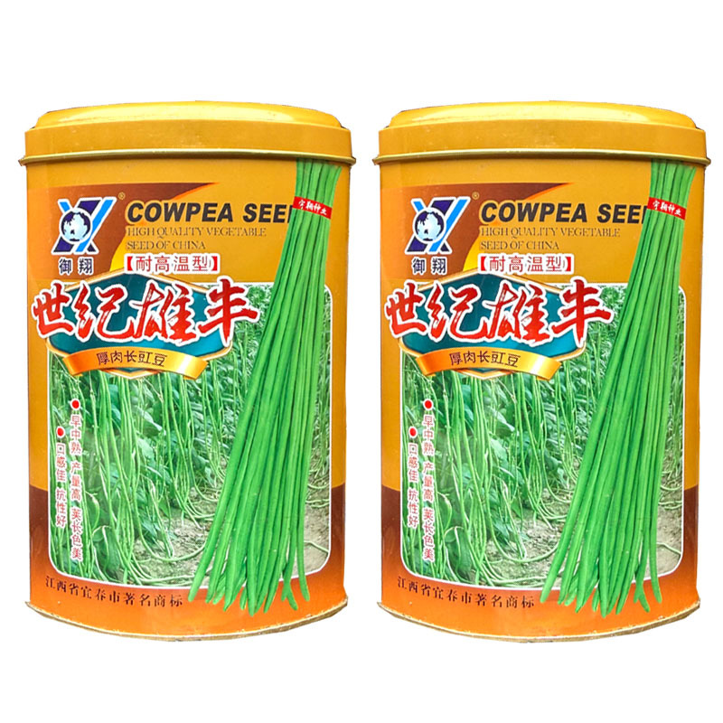世纪雄丰豇豆种子耐高温早中熟油绿荚豆角种子耐老化大田基地