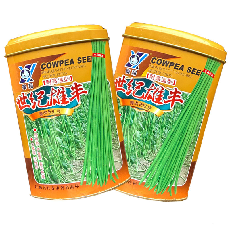 世纪雄丰豇豆种子耐高温早中熟油绿荚豆角种子耐老化大田基地