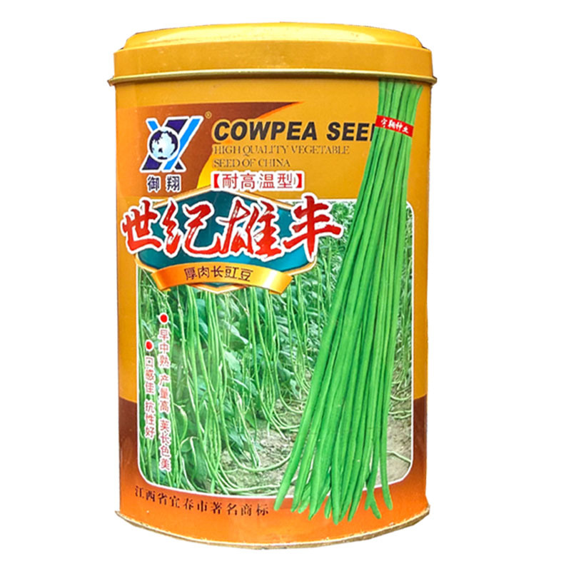 世纪雄丰豇豆种子耐高温早中熟油绿荚豆角种子耐老化大田基地