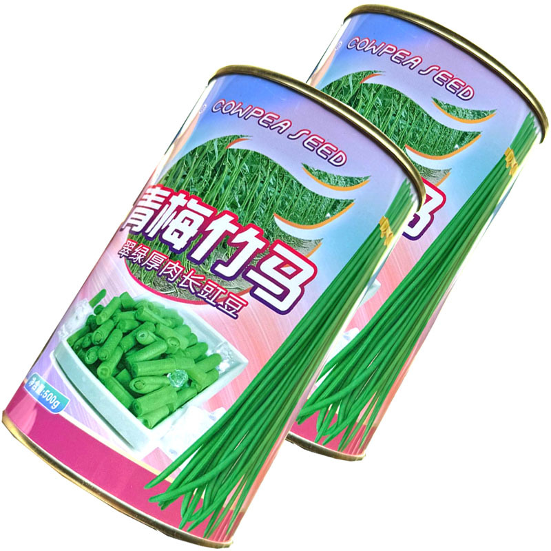 青梅竹马翠绿厚肉长豇豆种子中早熟白花抗病肉厚不老化基地用
