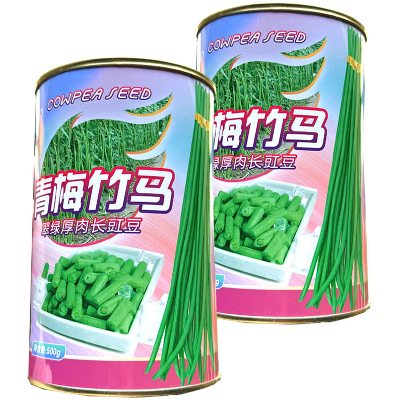 青梅竹马翠绿厚肉长豇豆种子中早熟白花抗病肉厚不老化基地用