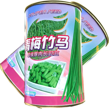 青梅竹马翠绿厚肉长豇豆种子中早熟白花抗病肉厚不老化基地用