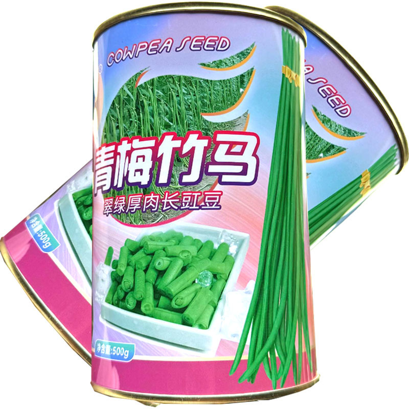 青梅竹马翠绿厚肉长豇豆种子中早熟白花抗病肉厚不老化基地用