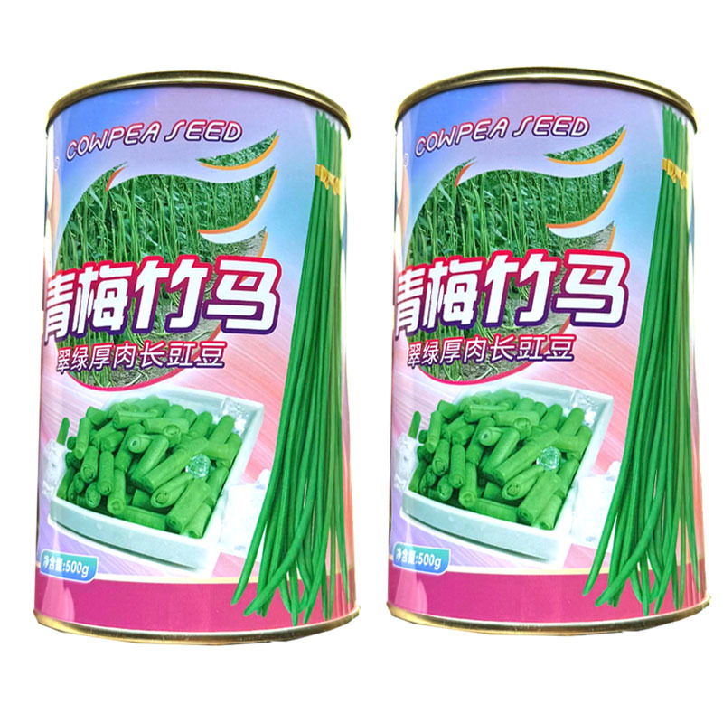 青梅竹马翠绿厚肉长豇豆种子中早熟白花抗病肉厚不老化基地用