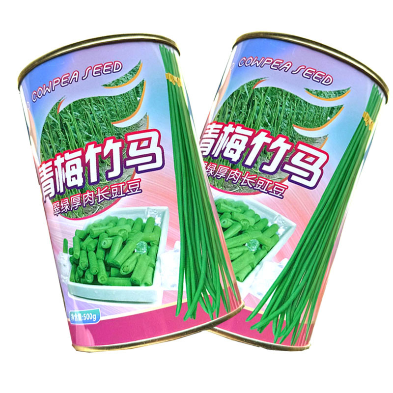 青梅竹马翠绿厚肉长豇豆种子中早熟白花抗病肉厚不老化基地用