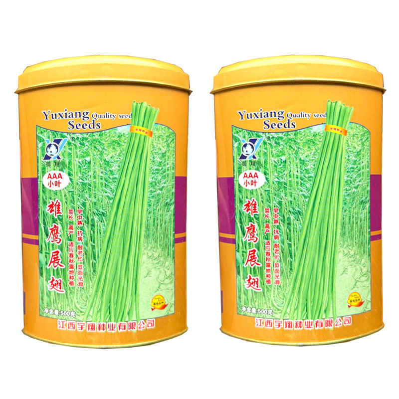 雄鹰展翅小叶豇豆种子早中熟抗病耐老化翠荚豆角种子采收期长
