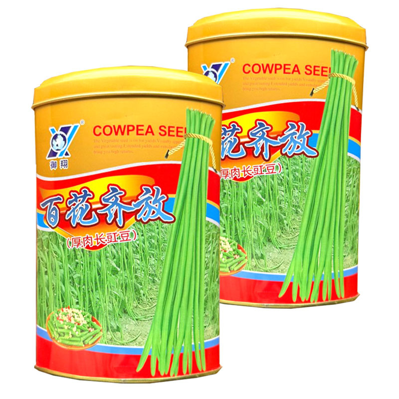 百花齐放厚肉长豇豆种子早熟抗病持续结荚强翠绿荚豆角种籽