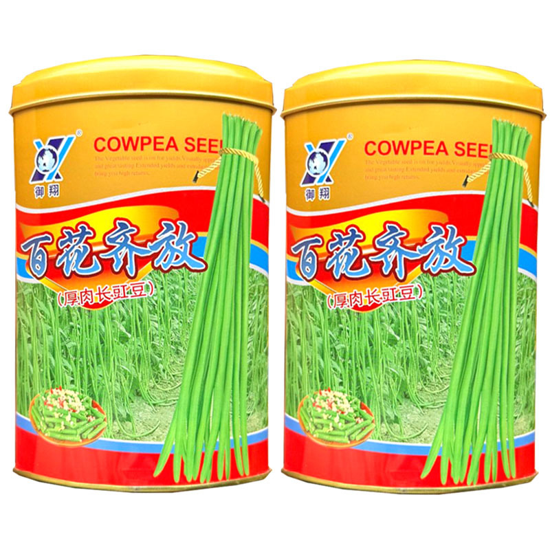 百花齐放厚肉长豇豆种子早熟抗病持续结荚强翠绿荚豆角种籽