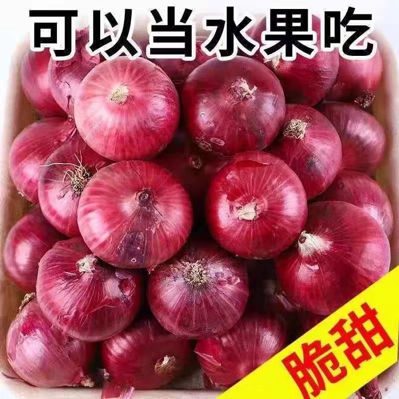 精品紫皮洋葱大量供货产地直发价格优惠对接全国市场