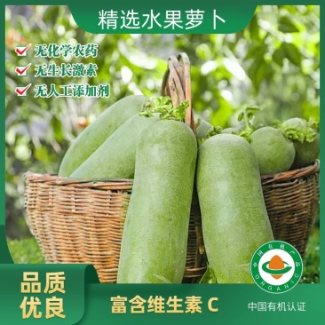水果萝卜