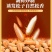 巴西松子2025新货特级特大阿富汗手剥零食坚果炒