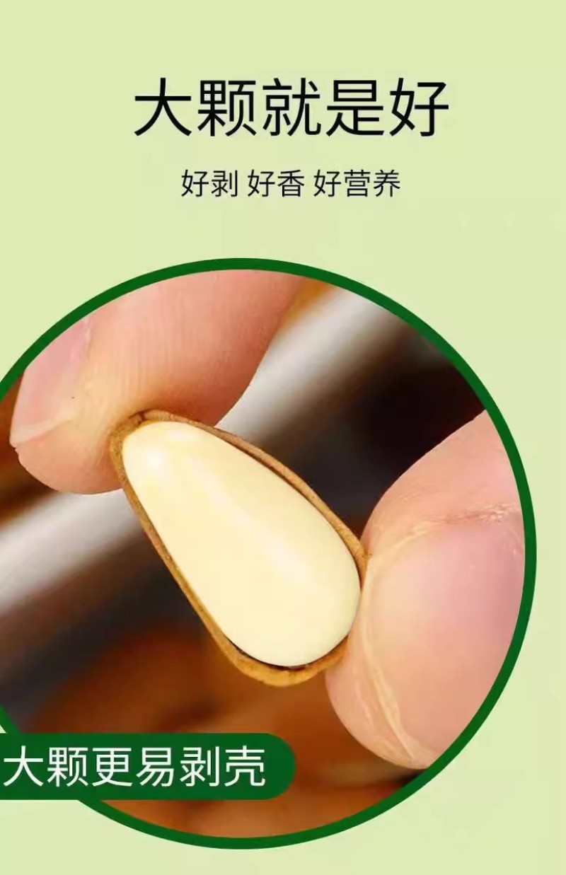 东北大颗粒松子开口2025年新货特大东北松子