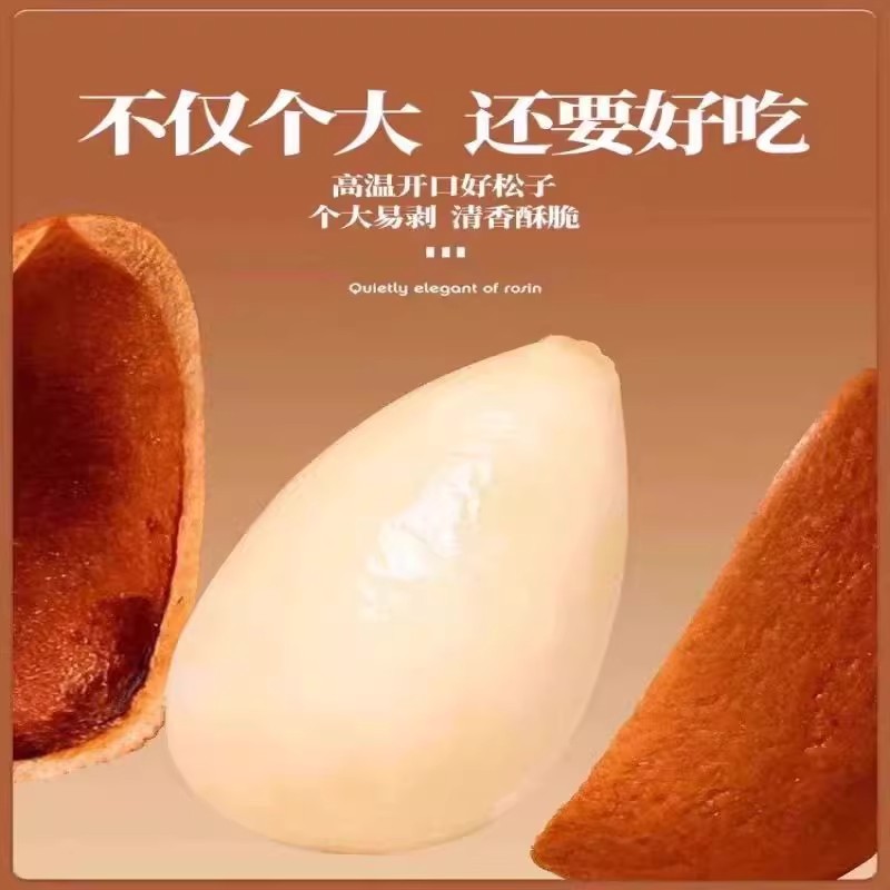 东北大颗粒松子开口2025年新货特大东北松子