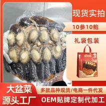 佛跳墙大盆菜10参10鲍批发源头工厂直供