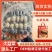 佛跳墙大盆菜10参10鲍批发源头工厂直供