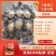 工厂直供大盆菜佛跳墙加热即食批发10参10鲍10虾