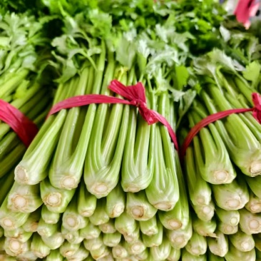 芹菜【西芹】对接市场，商超，档口诚信经营，客户至上！
