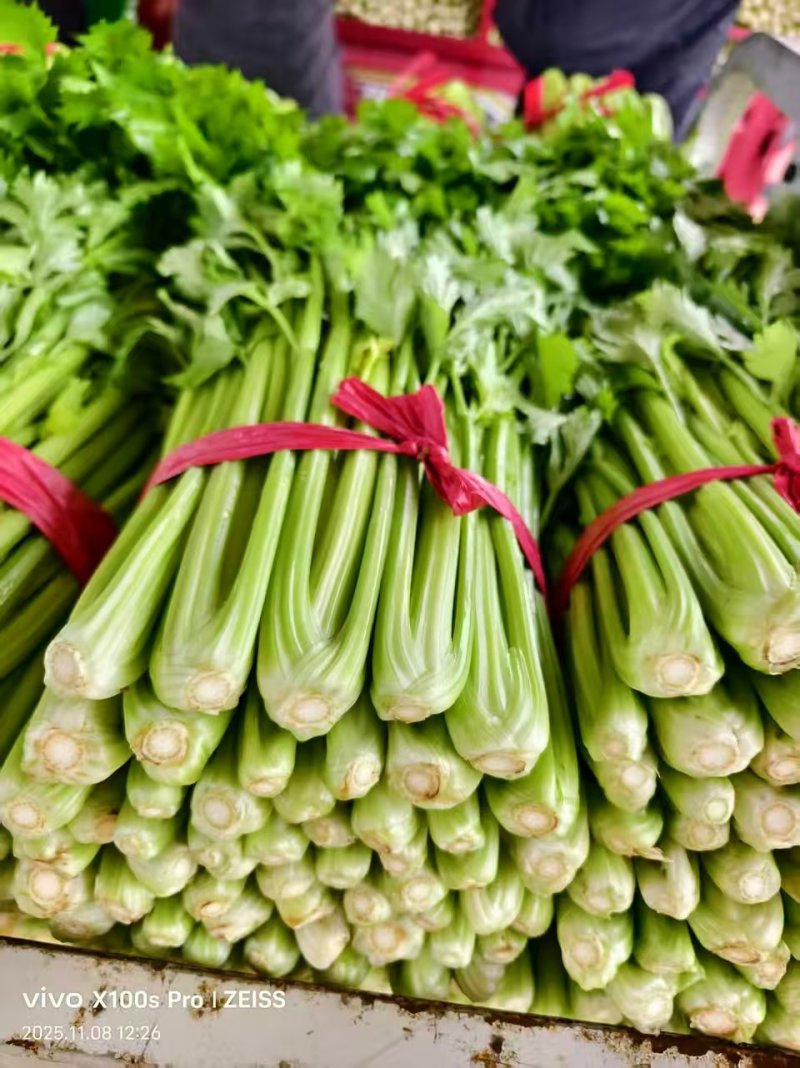 芹菜【西芹】对接市场，商超，档口诚信经营，客户至上！