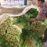 芹菜【西芹】对接市场，商超，档口诚信经营，客户至上！