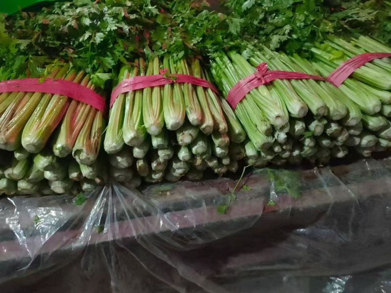芹菜【西芹】对接市场，商超，档口诚信经营，客户至上！