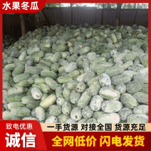 （热卖）河南水果冬瓜价格美丽质量好走货快欢迎询价对接全国