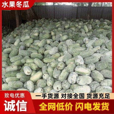 (热卖)河南水果冬瓜价格美丽质量好走货快欢迎询价对接全国
