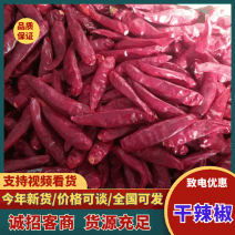 河南干辣椒新鲜上市价格美丽对接全国鲜辣可口热卖中
