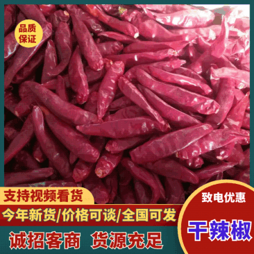 河南干辣椒新鲜上市价格美丽对接全国鲜辣可口热卖中