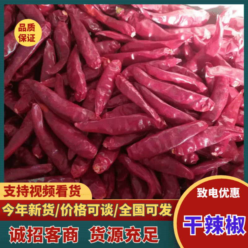 河南干辣椒新鲜上市价格美丽对接全国鲜辣可口热卖中