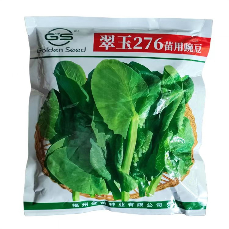 翠玉276苗用豌豆种子进口豌豆尖种子无须青豆芽豌豆苗种子