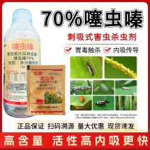 贵和70%噻虫嗪小麦蚜虫芦笋蓟马水稻稻飞虱农药杀虫剂正品