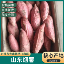 山区正宗烟薯25蜜薯丘陵沙地种植，地窖储存糖化发货