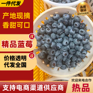 蓝莓云南蓝莓产地直发保质保量供应全国货源充足