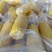 东北玉米棒糯玉米工厂直发价钱实惠保质保量供应