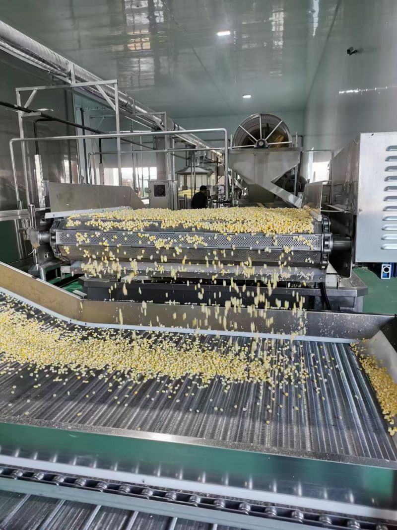 东北脱皮玉米粒保质保量供应价钱实惠视频看货