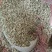 茴香【小茴香】玉门产地规格齐全，诚信经营客户至上