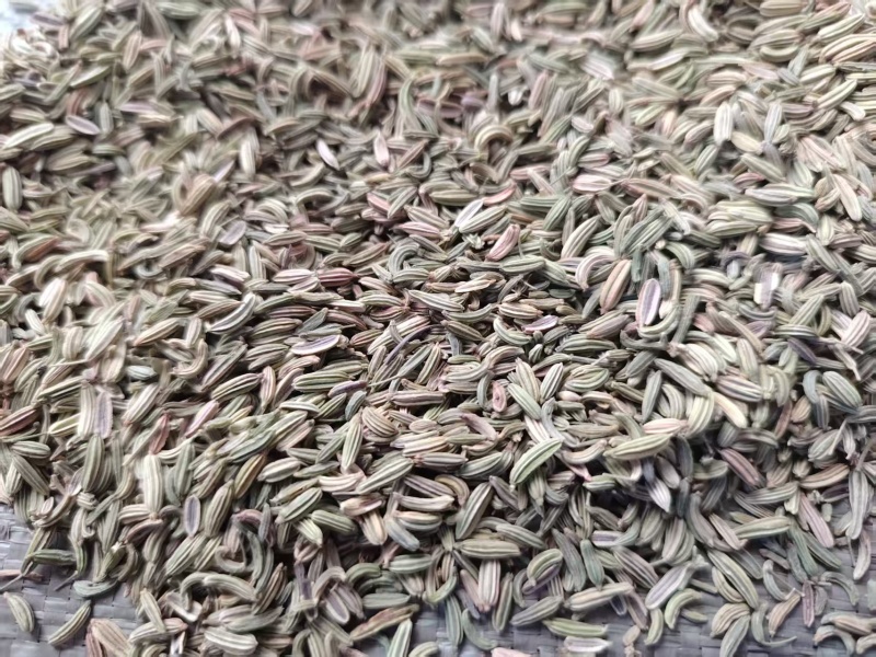 茴香【小茴香】玉门产地规格齐全，诚信经营客户至上
