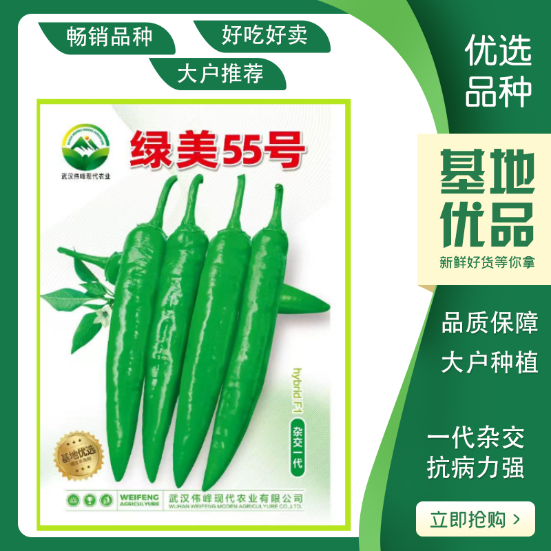 【绿美55号】薄皮羊角椒皱皮辣椒种子基地优选越夏延秋种植